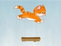 Kitty Jump ითამაშოთ ონლაინ