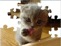 Cute Cat Puzzle ითამაშოთ ონლაინ