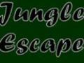 Jungle Escape ითამაშოთ ონლაინ