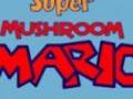 Super Mushroom Mario ითამაშოთ ონლაინ