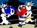 Cow Fighter ითამაშოთ ონლაინ