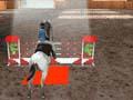 Equestrian 3D ითამაშოთ ონლაინ