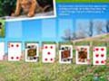 Animal Planet Solitaire ითამაშოთ ონლაინ