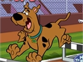 Scooby Doo - Steeplechase ითამაშოთ ონლაინ